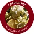 Білі квіти й цитрус аромату Соняшник